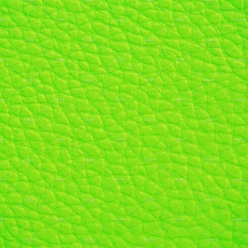 Light Green Leather cover image.