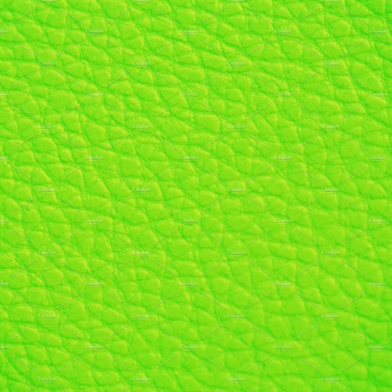 Light Green Leather cover image.