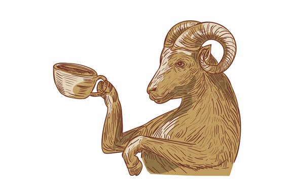 Ram Goat Drinking Coffee Drawing cover image.