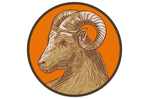 Ram Goat Head Circle Drawing cover image.