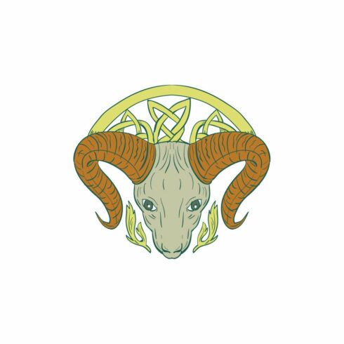 Ram Head Celtic Knot cover image.