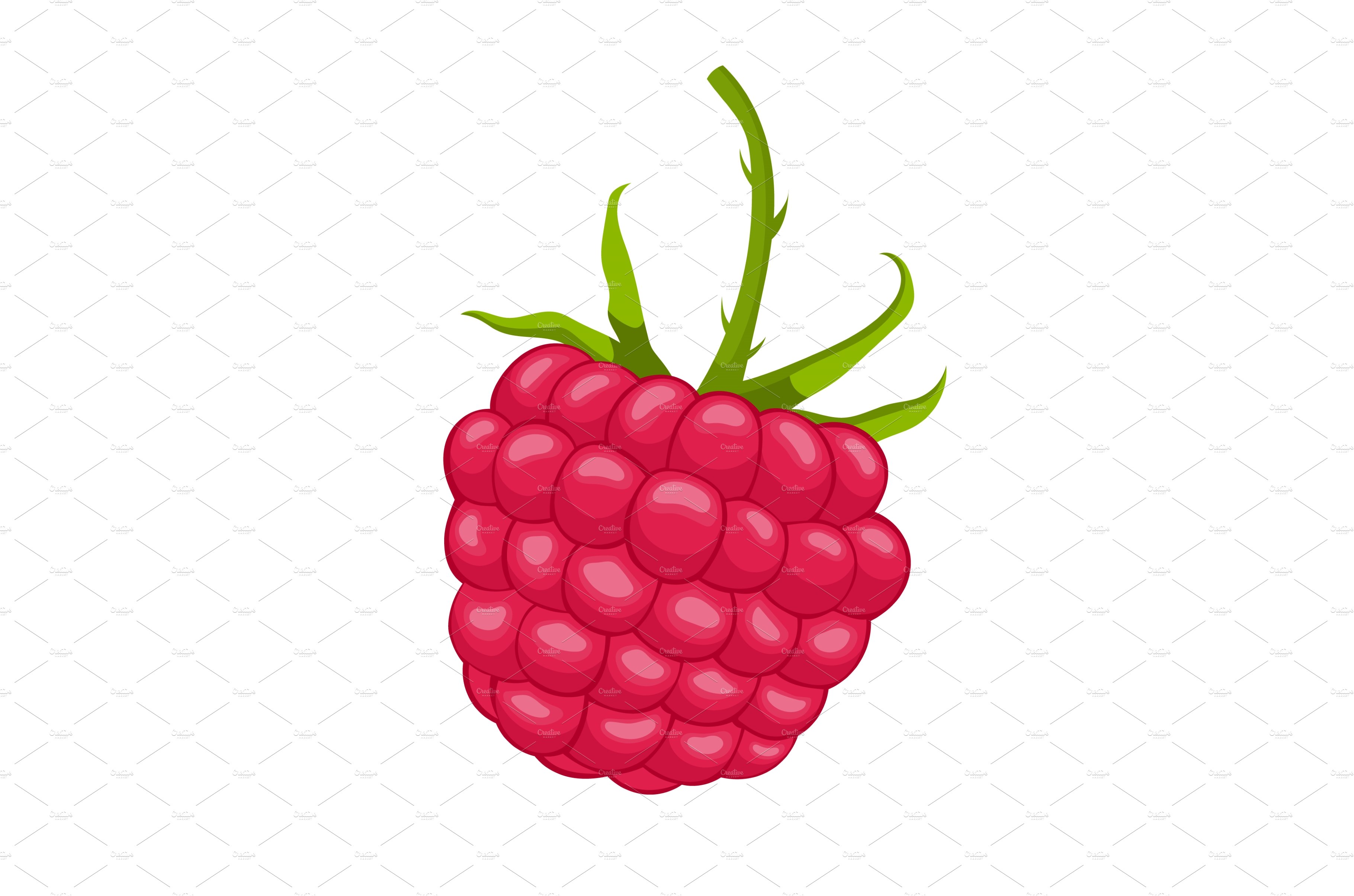 raspberry berry cartoon vector cover image.