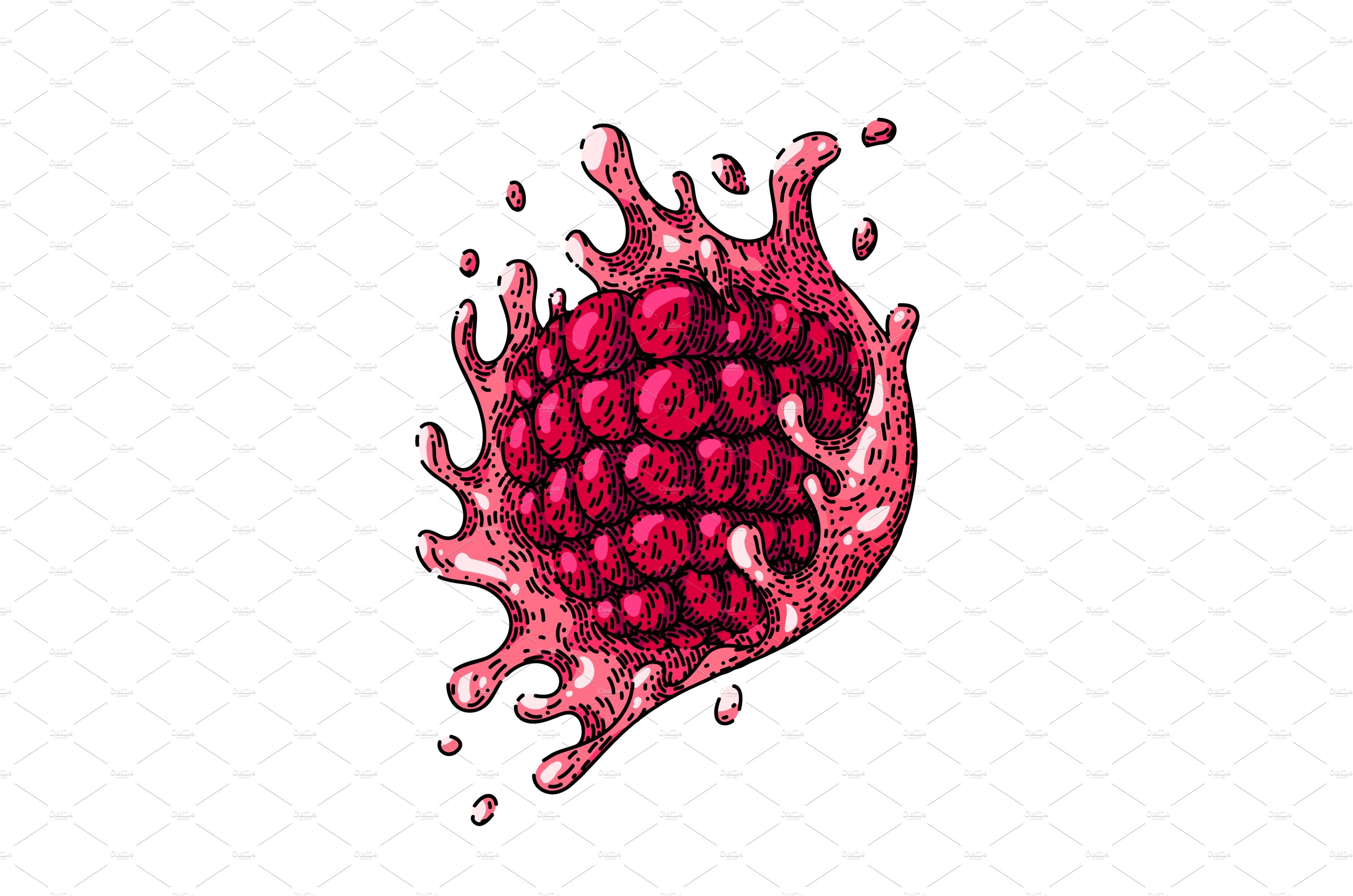 raspberry splash sketch hand drawn cover image.
