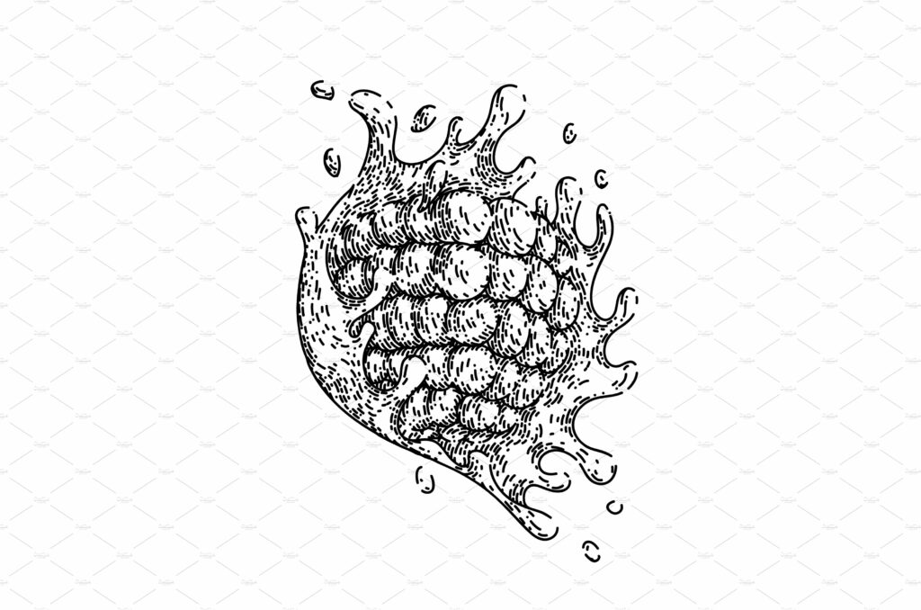 raspberry splash sketch hand drawn – MasterBundles