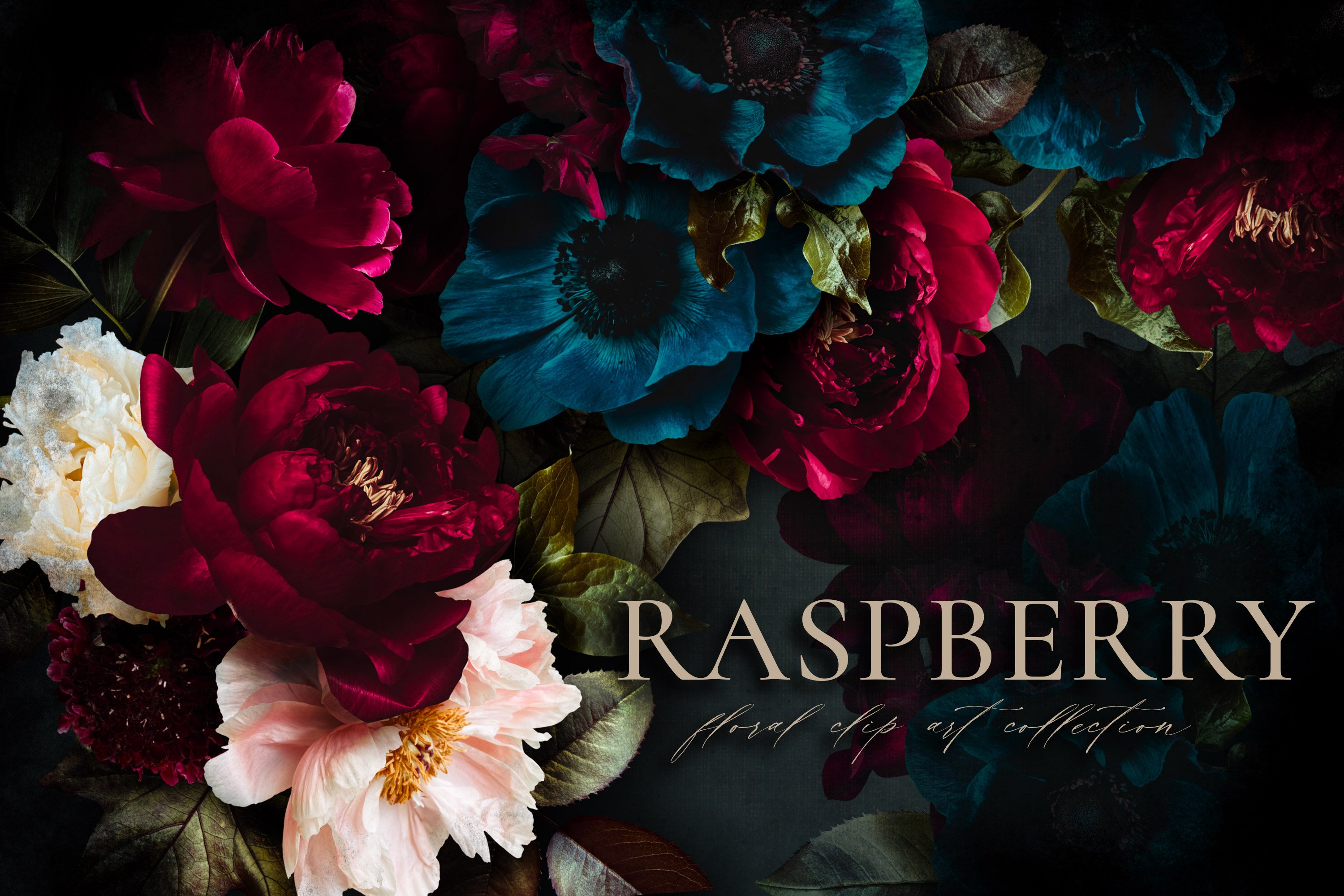 Raspberry Floral Clip Art Collection cover image.
