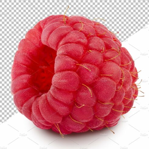 Raspberry. JPEG, PNG, TIFF files cover image.