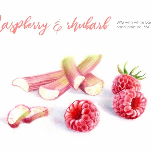 Raspberry & Rhubarb. Watercolor cover image.