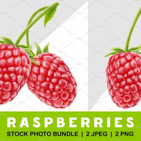 Raspberry with long stem cover image.