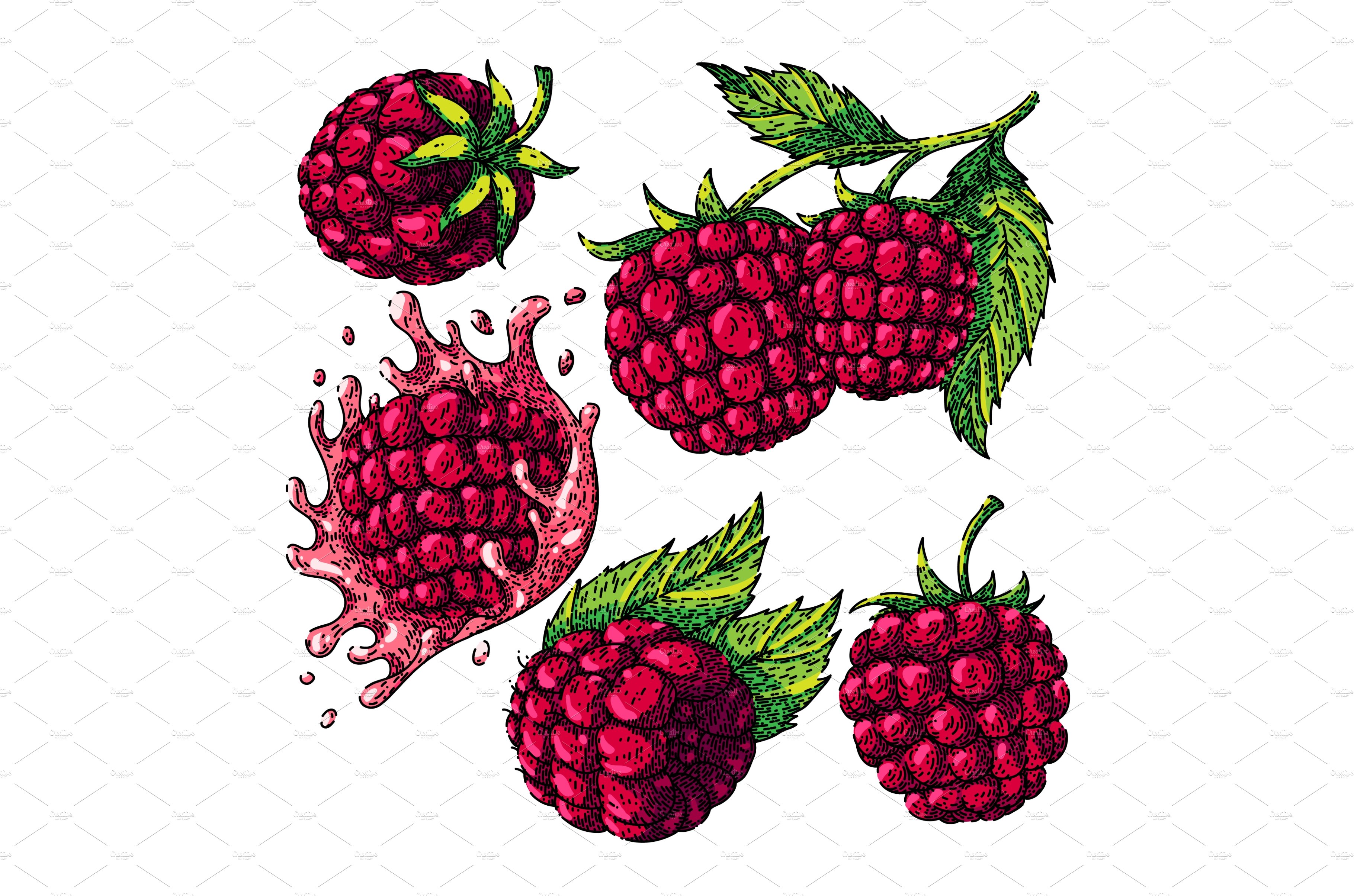 Raspberry Sketch - Drawing Skill