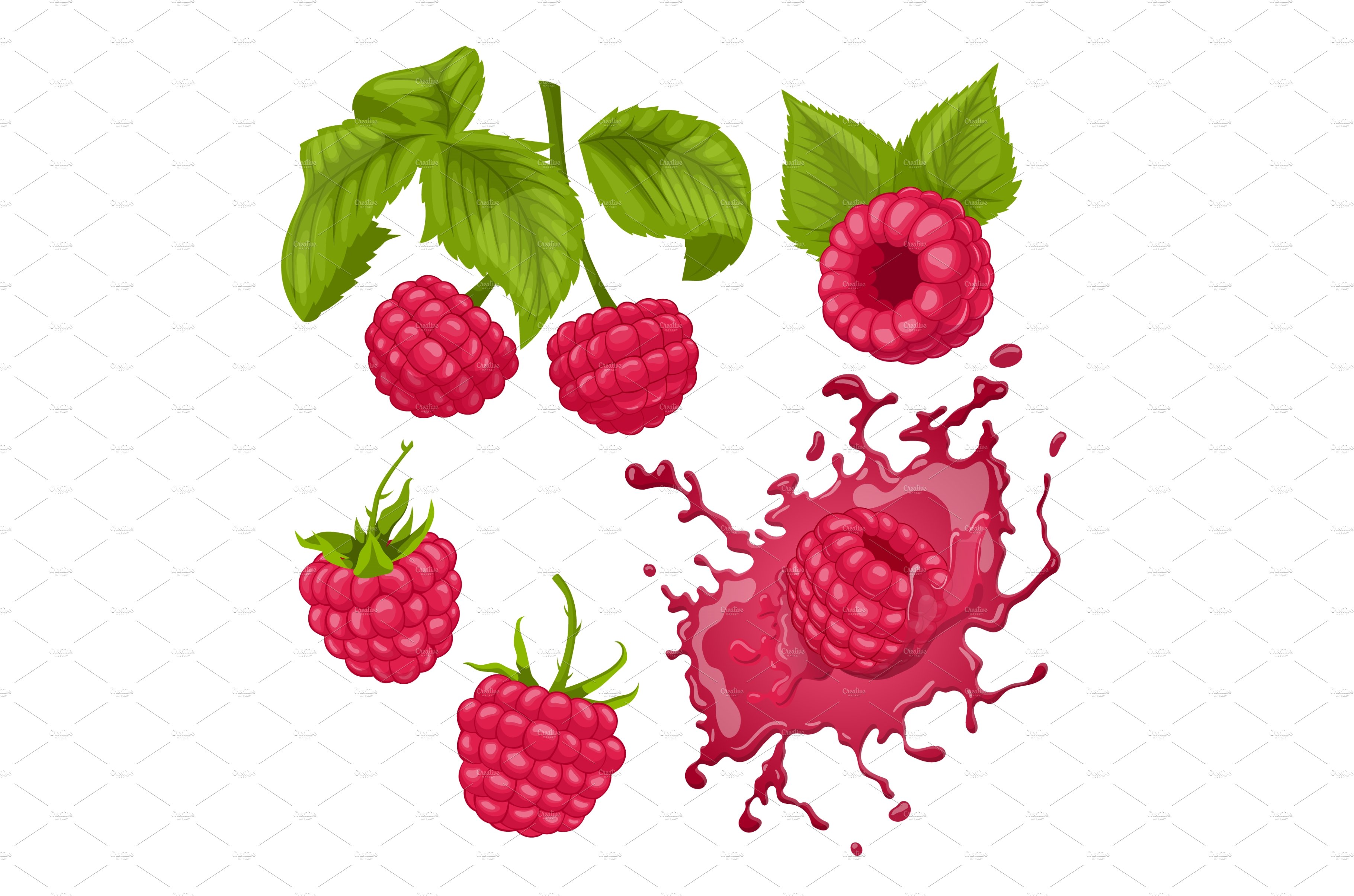 raspberry fruit set cartoon vector cover image.