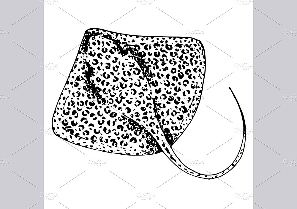 Stingray fish illustrations, pattern preview image.
