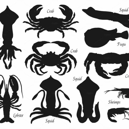 Sea animal, fish silhouettes cover image.