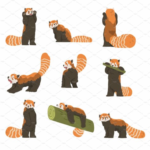 Cute Red Panda Doing Different cover image.