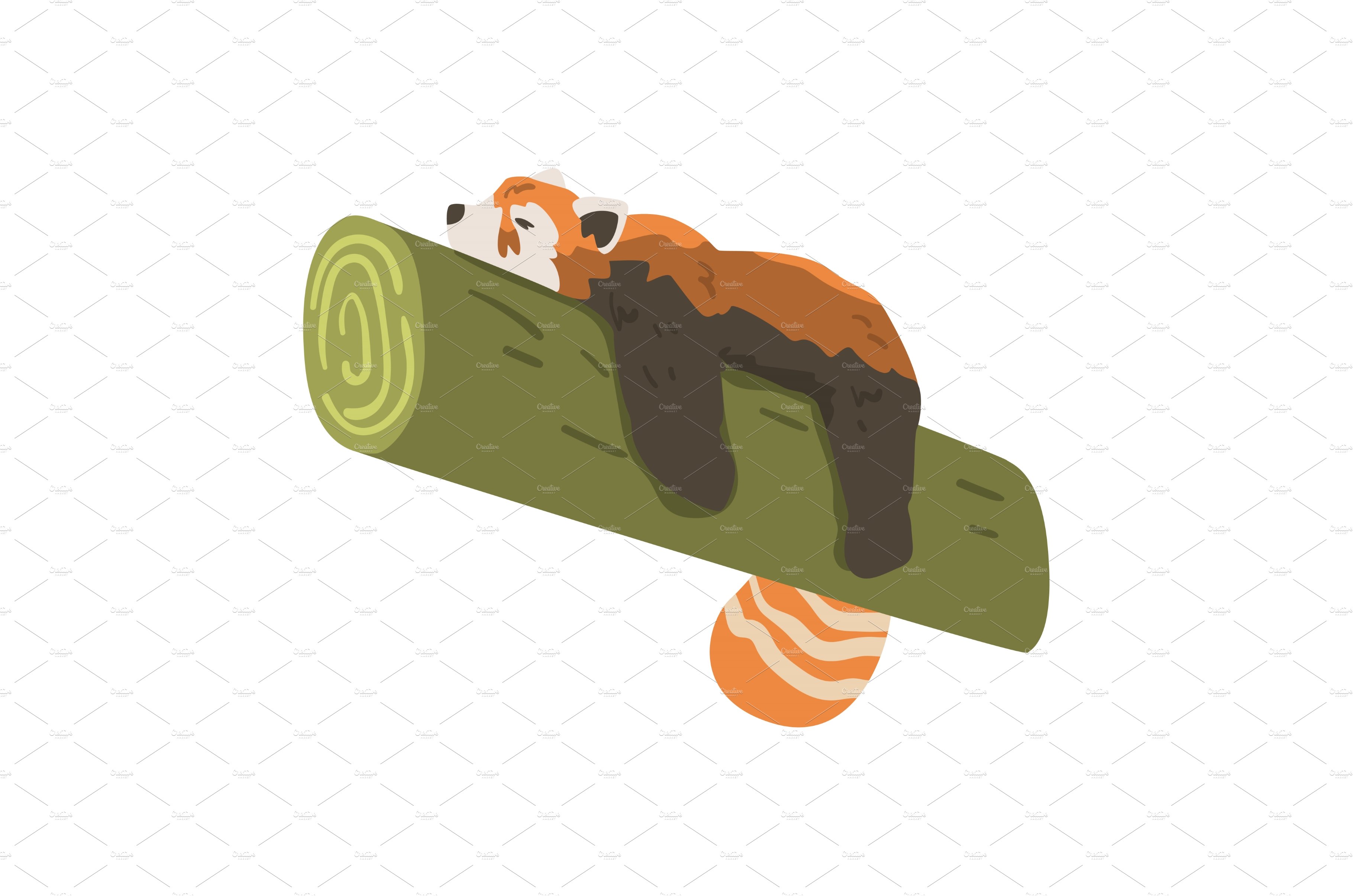 Cute Red Panda Sleeping on Bamboo cover image.