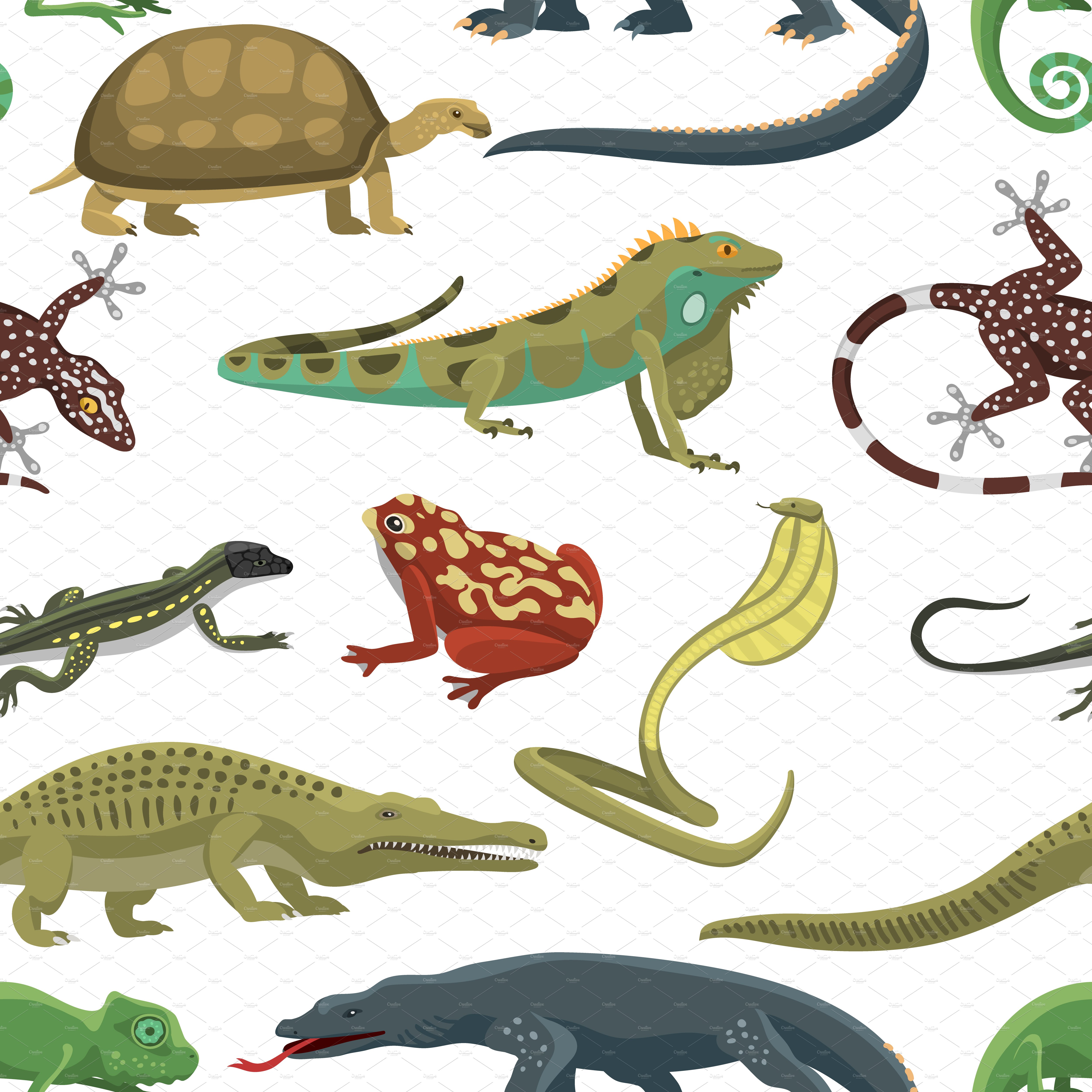 Vector amphibian seamless pattern cover image.