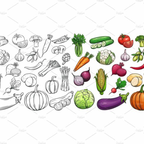 Vegetables Icons Set cover image.