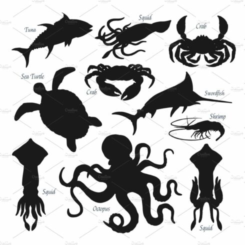 Sea fish, animal black silhouettes cover image.
