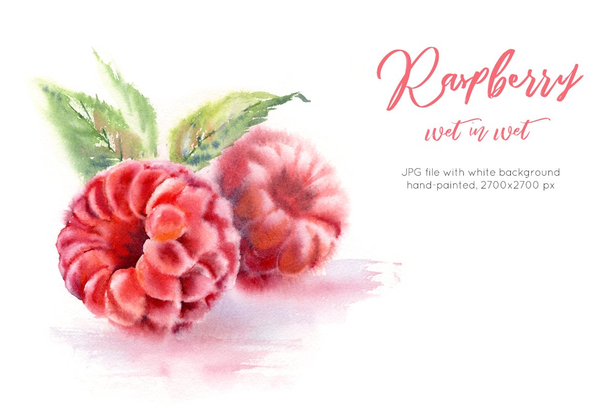 Raspberry. Watercolor painting cover image.