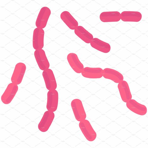 Bacilli bacteria. Pink rod cells of cover image.