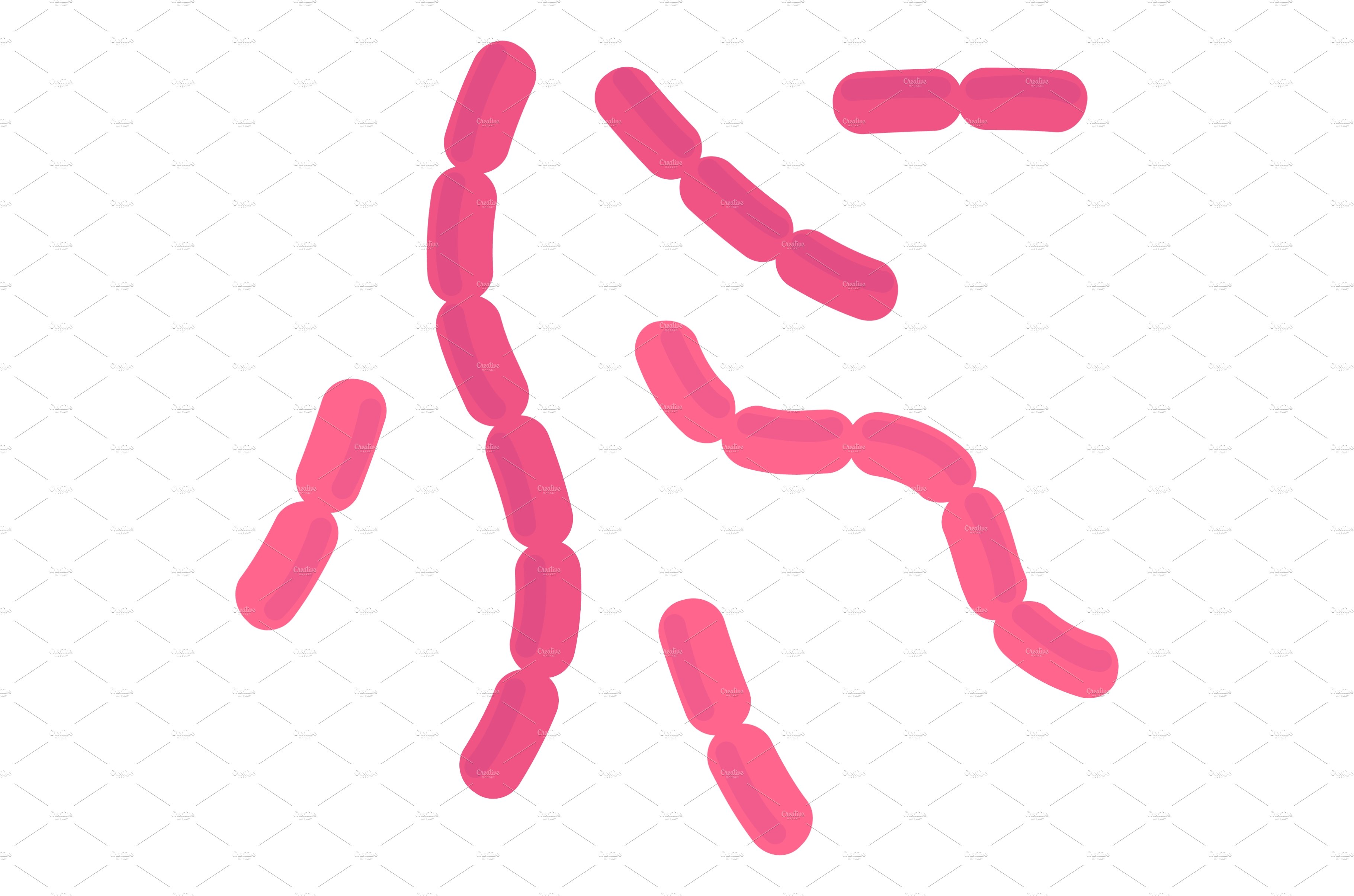 Bacilli bacteria. Pink rod cells of cover image.