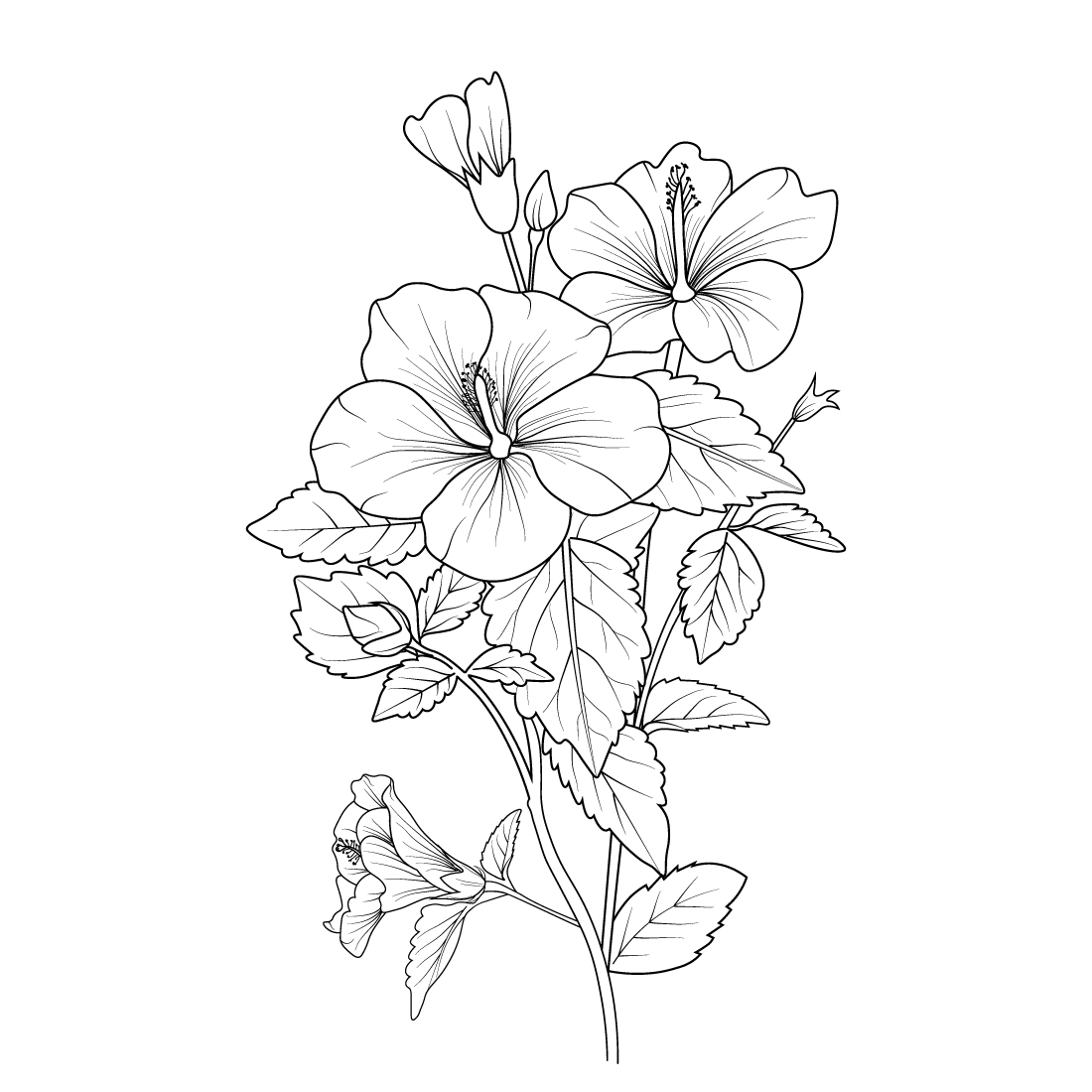 Red hibiscus flower drawing line art icon graphics coloring pages for kids  free download 27493114 Vector Art at Vecteezy