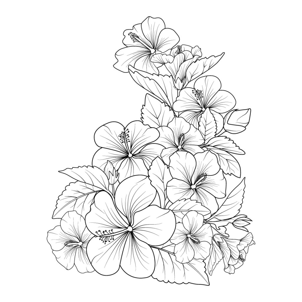 Hibiscus flowers illustration coloring page, simplicity, Embellishment ...