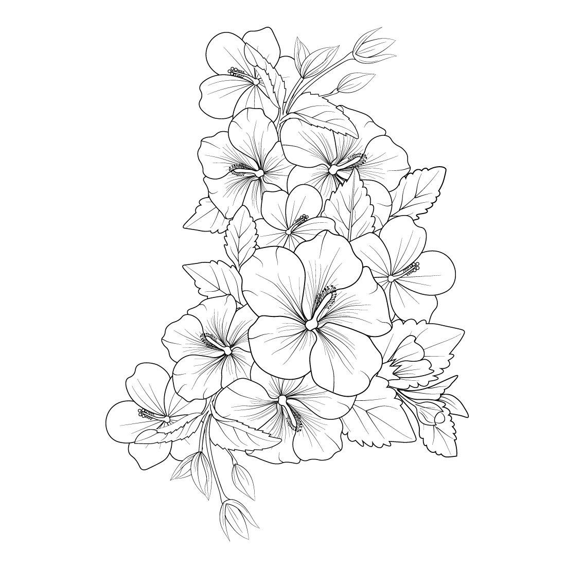 Hibiscus flower vector illustration of a beautiful flower bouquet, a hand-drawn artistic coloring book preview image.