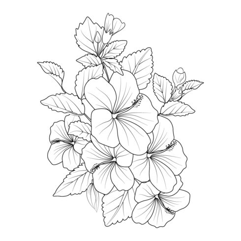 Hibiscus isolated, hand-drawn floral element vector illustration bouquet or china rose, cover image.