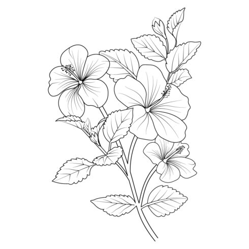 Isolated hibiscus hand-drawn vector sketch illustration, botanic collection branch of leaf buds natural collection coloring page cover image.