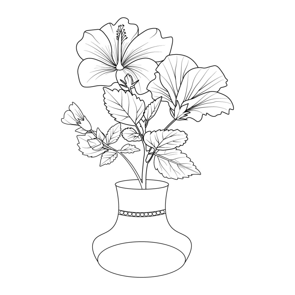 Botanical hibiscus flower drawing hibiscus flower vector art hibiscus