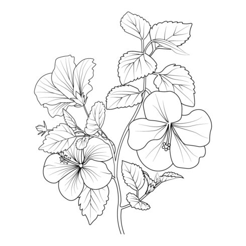 Flower coloring page and books, hand-drawn monochrome vector sketch hibiscus flower, cover image.