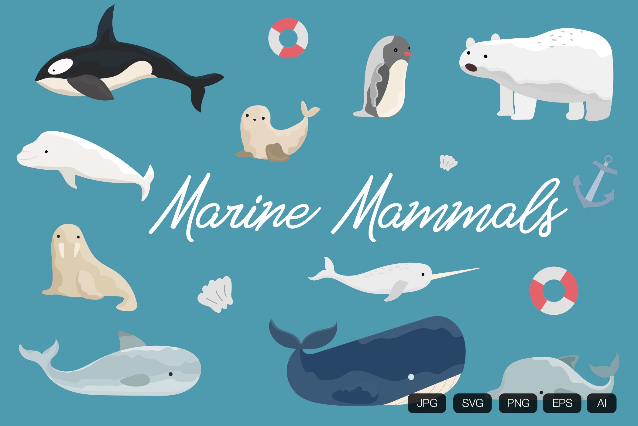 10 Marine Mammals Hand Drawn cover image.