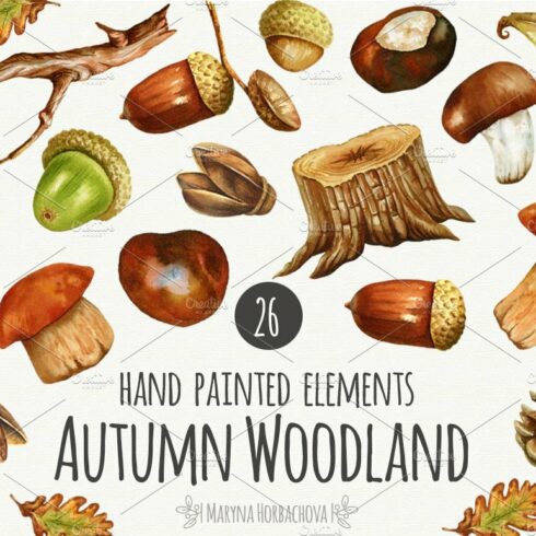 Autumn watercolor woodland set. cover image.