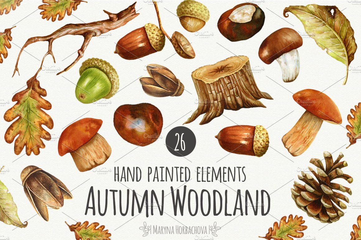Autumn watercolor woodland set. cover image.