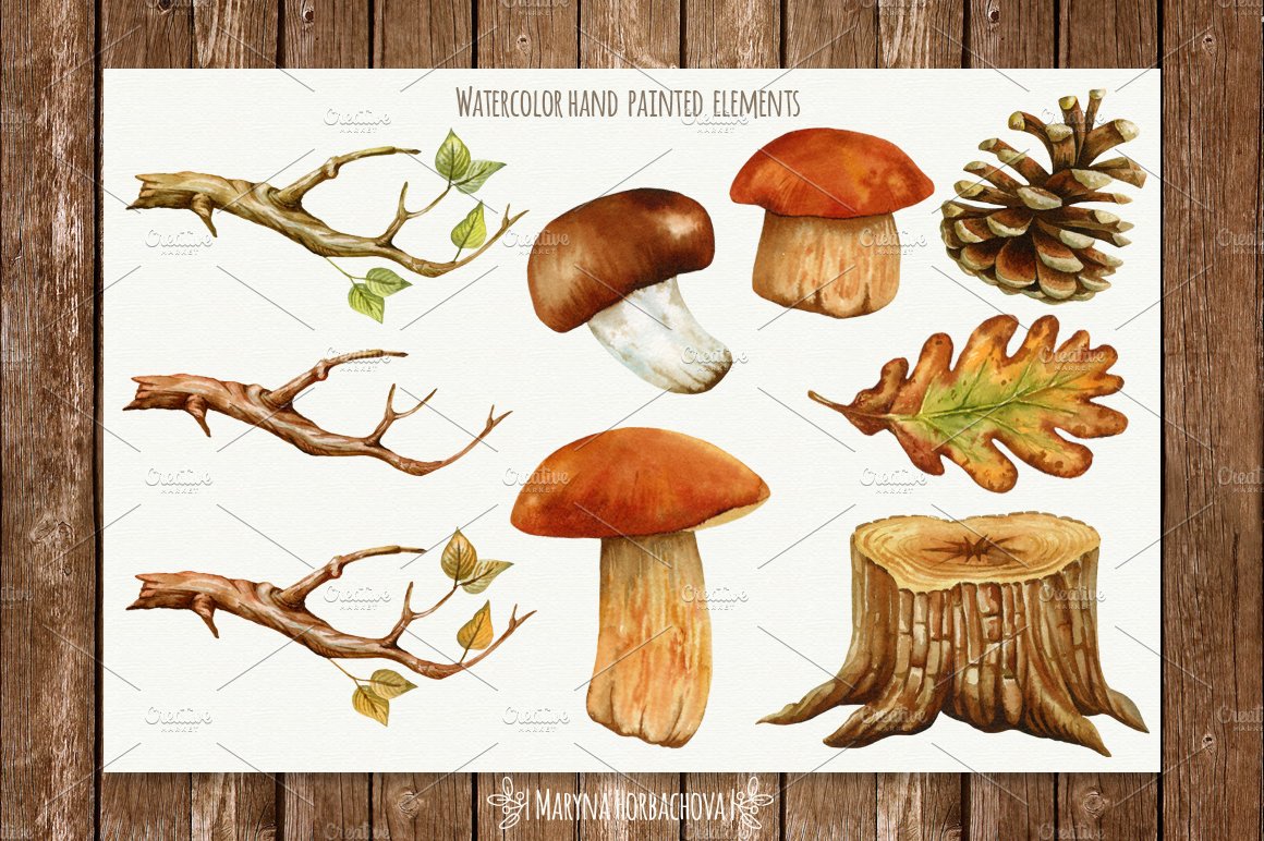 Autumn watercolor woodland set. preview image.