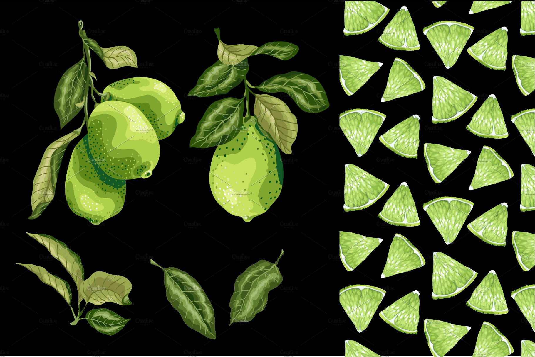 Citrus Lime Set with Fruits, Slices preview image.