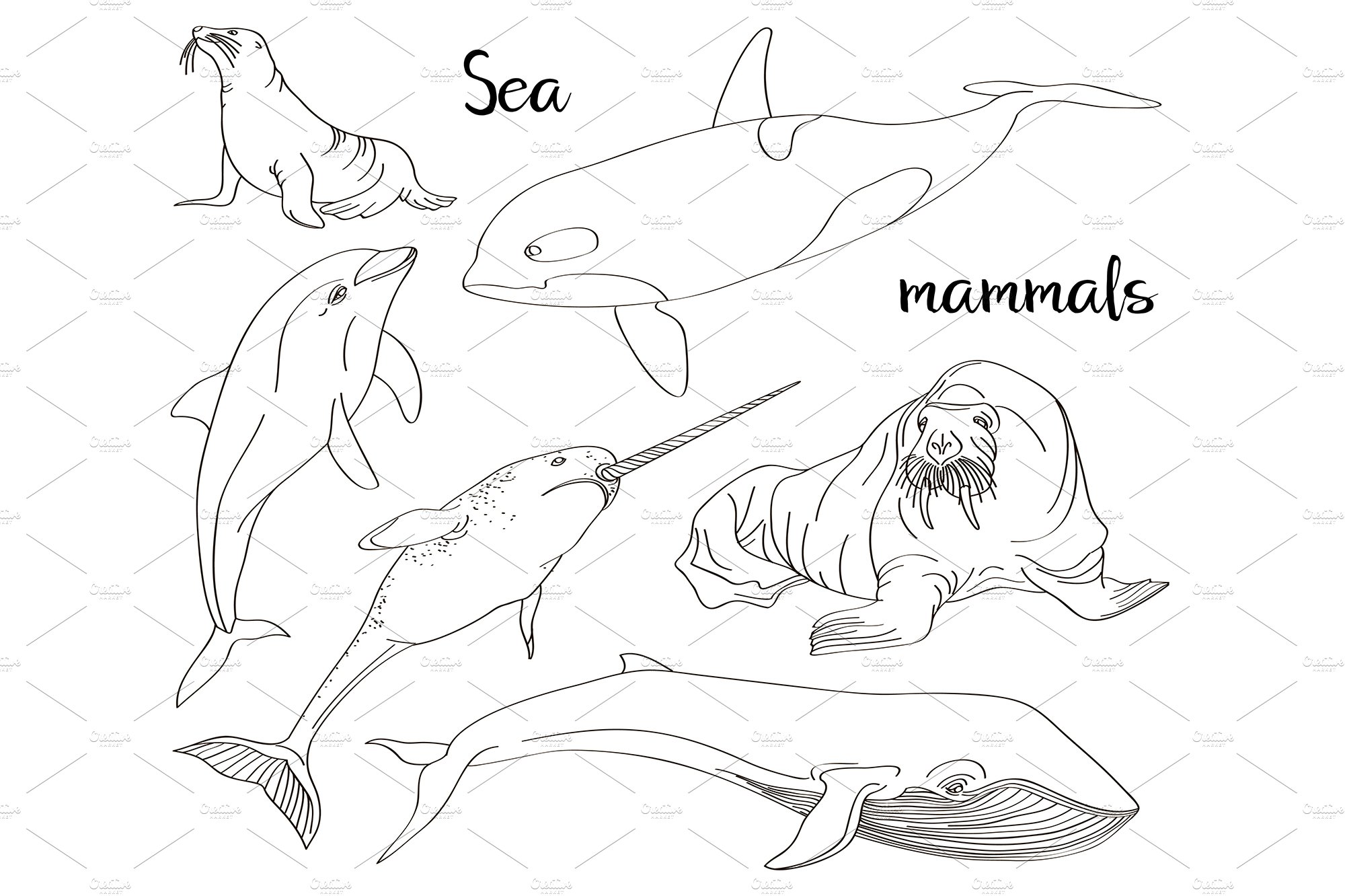 Sea mammals animal collection icons cover image.