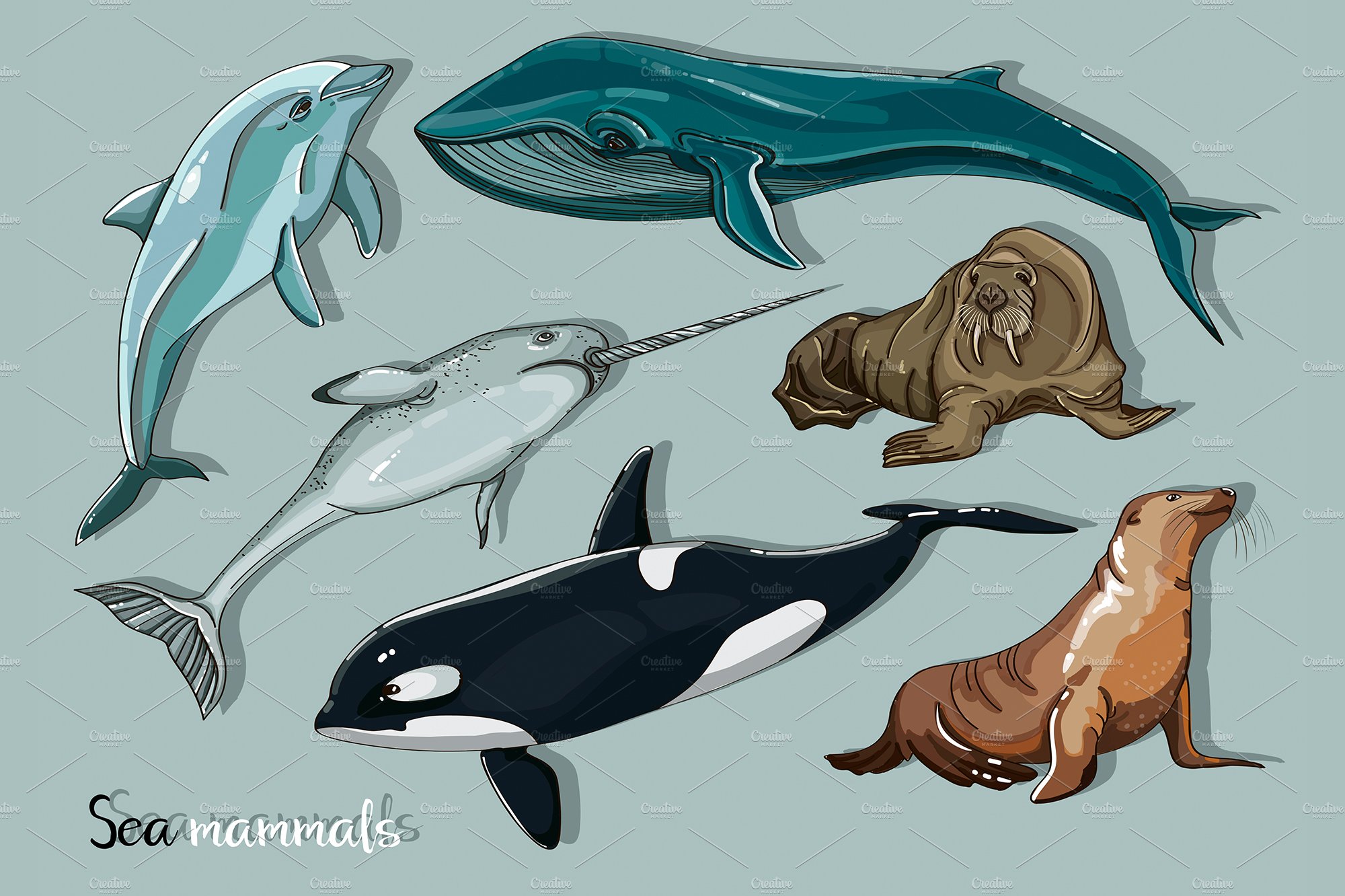 Sea mammals animal collection icons cover image.