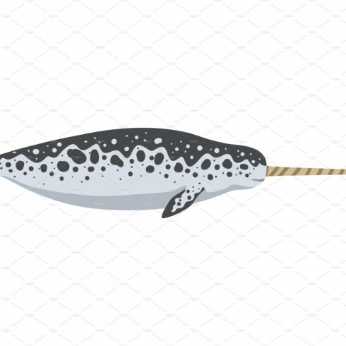 Narwhal Marine Arctic Animal, Wild cover image.