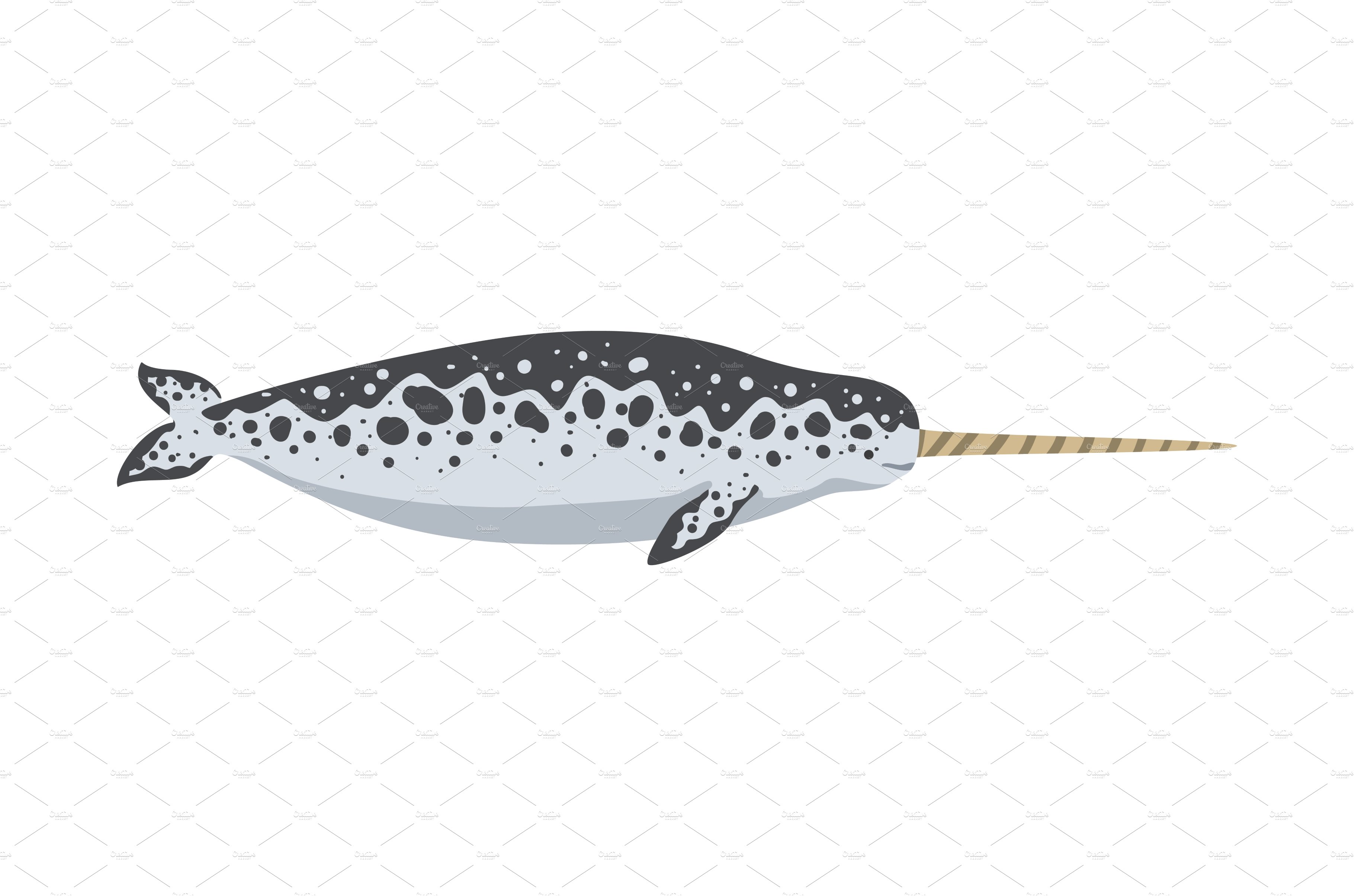 Narwhal Marine Arctic Animal, Wild cover image.