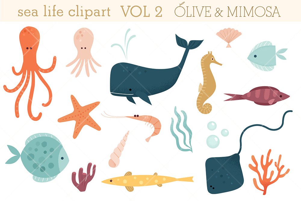 Sea life set VOL 2 cover image.