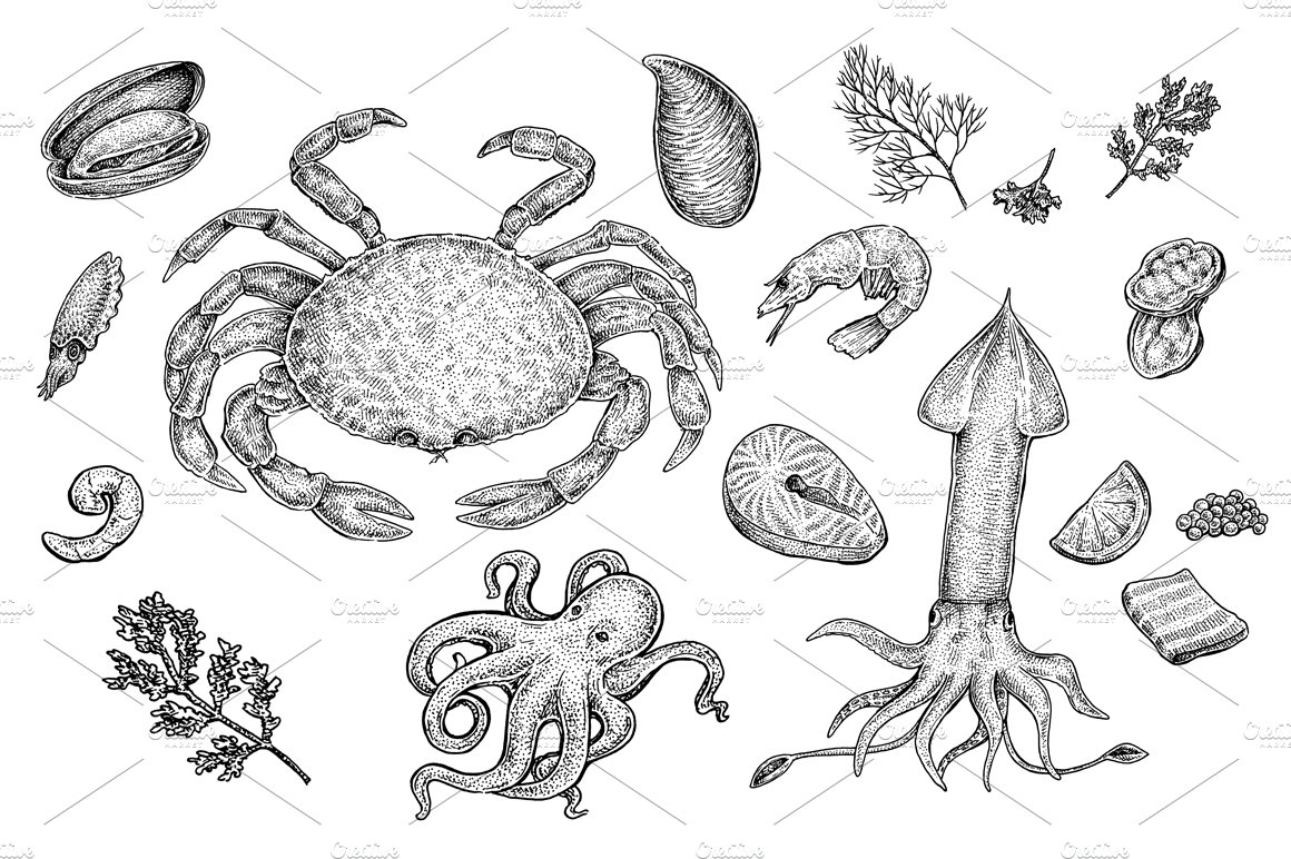 Seafood Collection preview image.