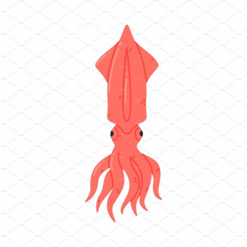 Squid or Calamari as Seafood and cover image.