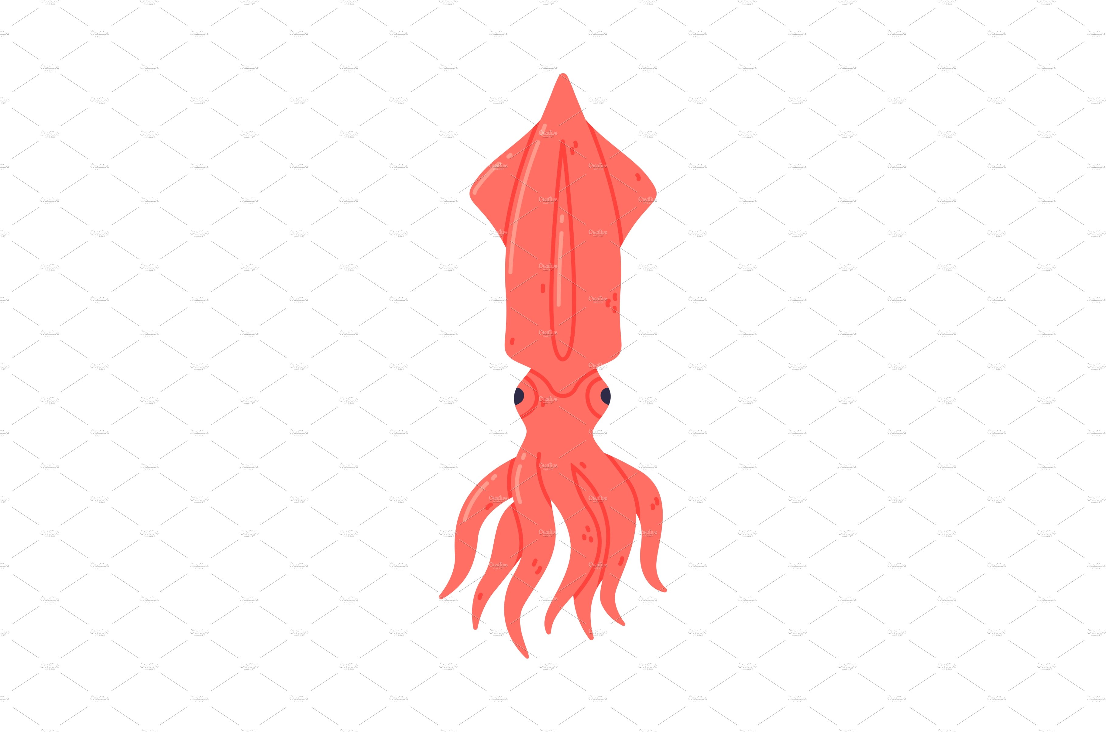 Squid or Calamari as Seafood and cover image.