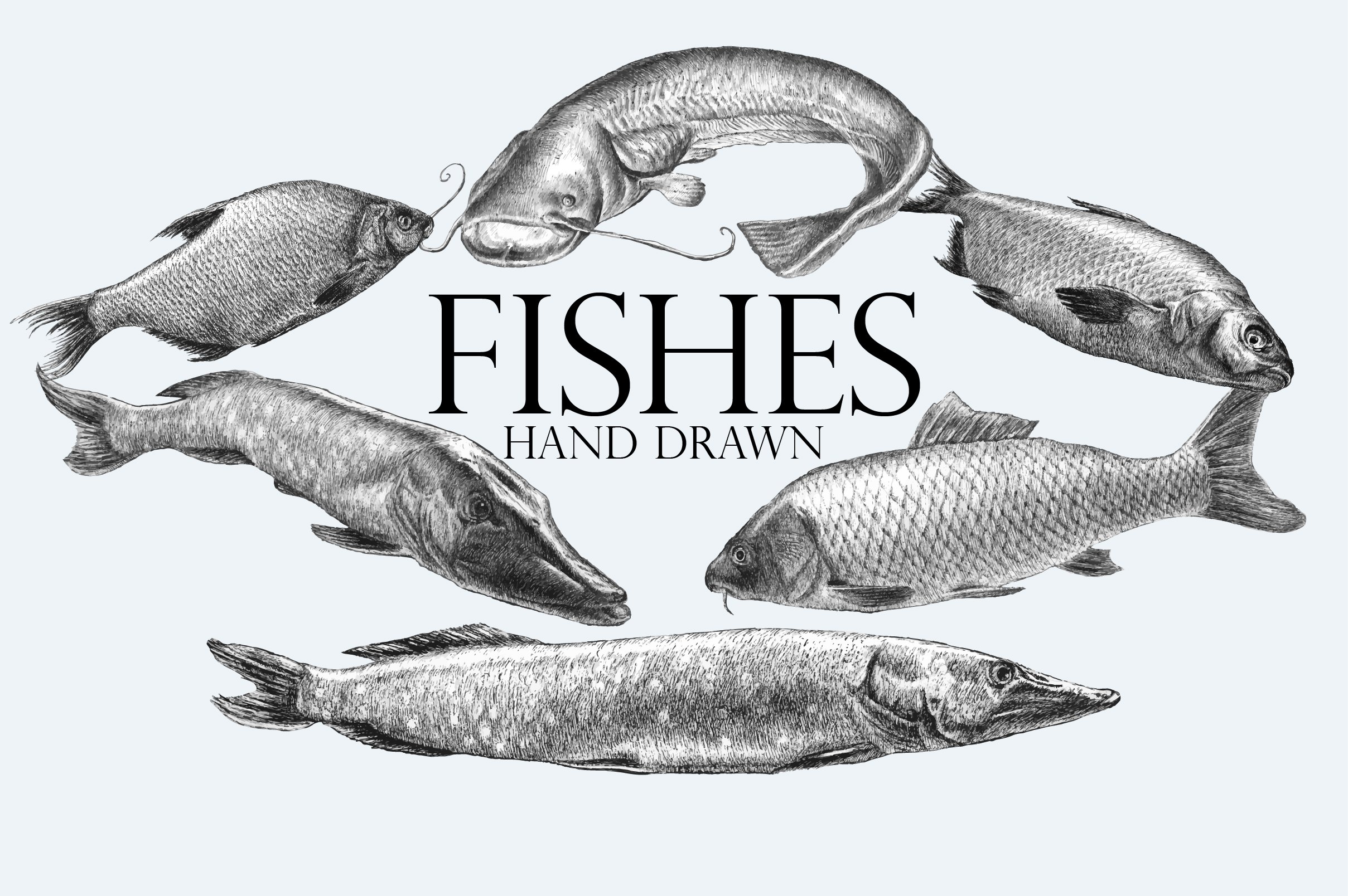 Fishes. Hand drawn. cover image.