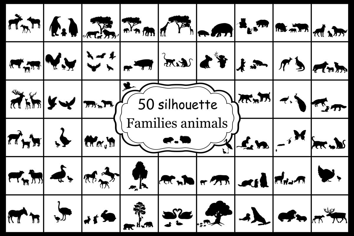 Silhouettes 50 families of animals cover image.