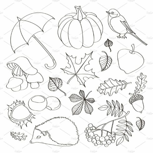 Set of autumn symbols cover image.