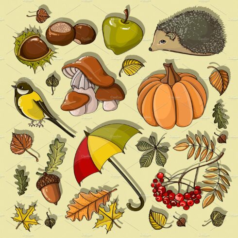 Set of autumn symbols cover image.