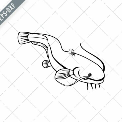 Sheatfish or Wels Catfish SVG cover image.