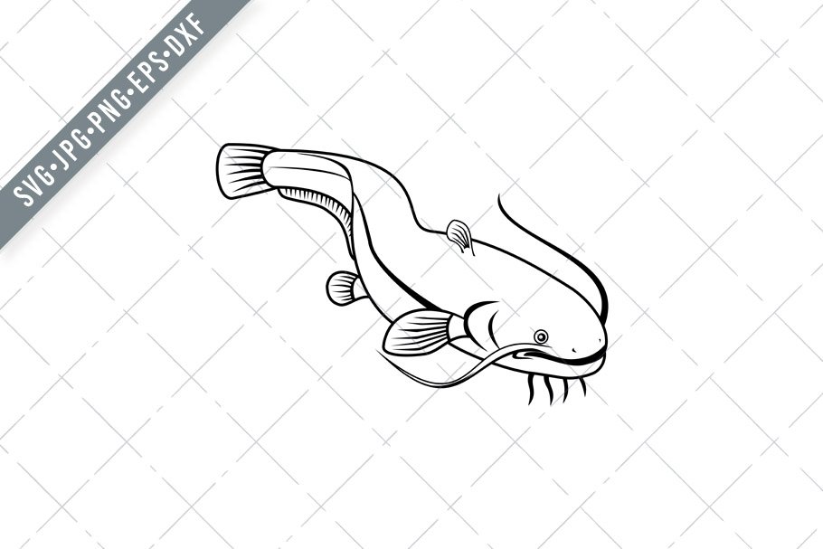 Sheatfish or Wels Catfish SVG cover image.